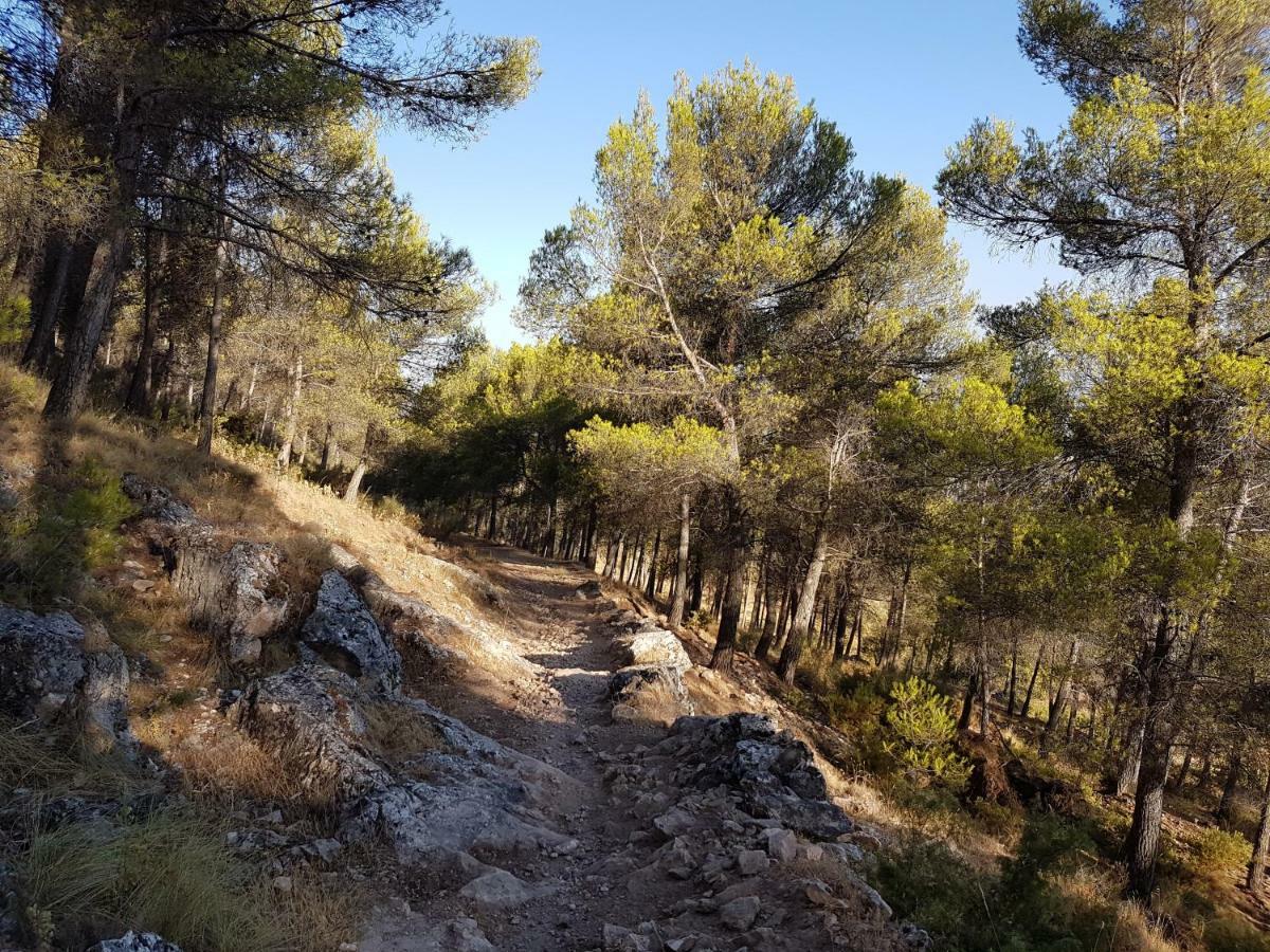 Apartamentos Rurales La Dehesa Del Acebuche Jaen Luaran gambar