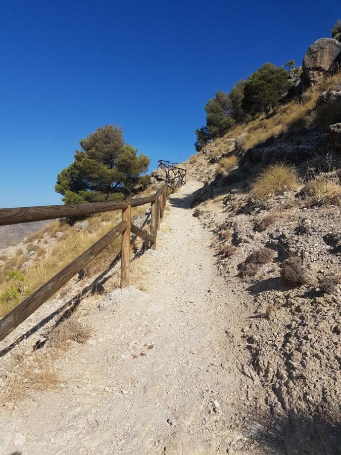 Apartamentos Rurales La Dehesa Del Acebuche Jaen Luaran gambar