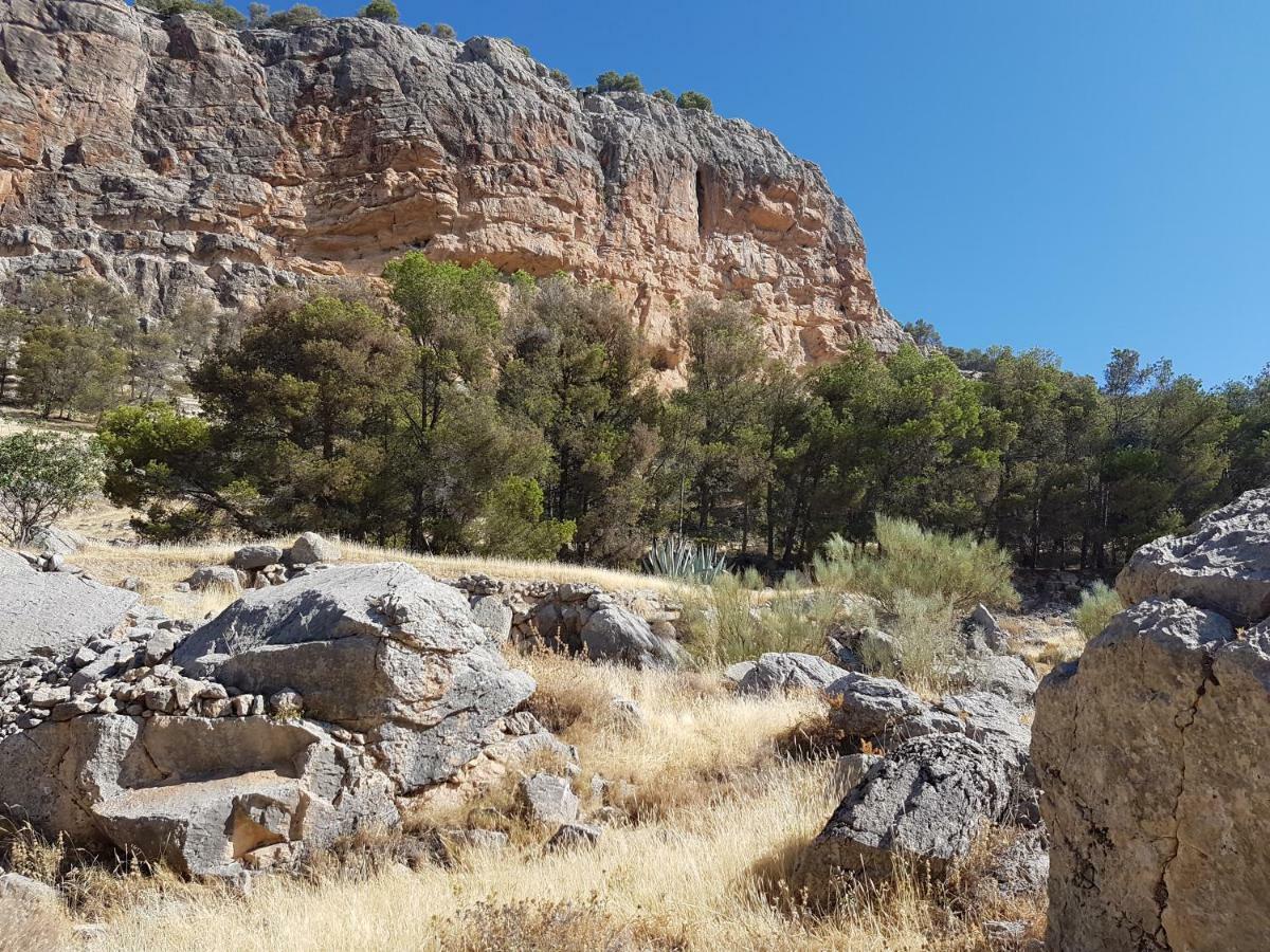 Apartamentos Rurales La Dehesa Del Acebuche Jaen Luaran gambar
