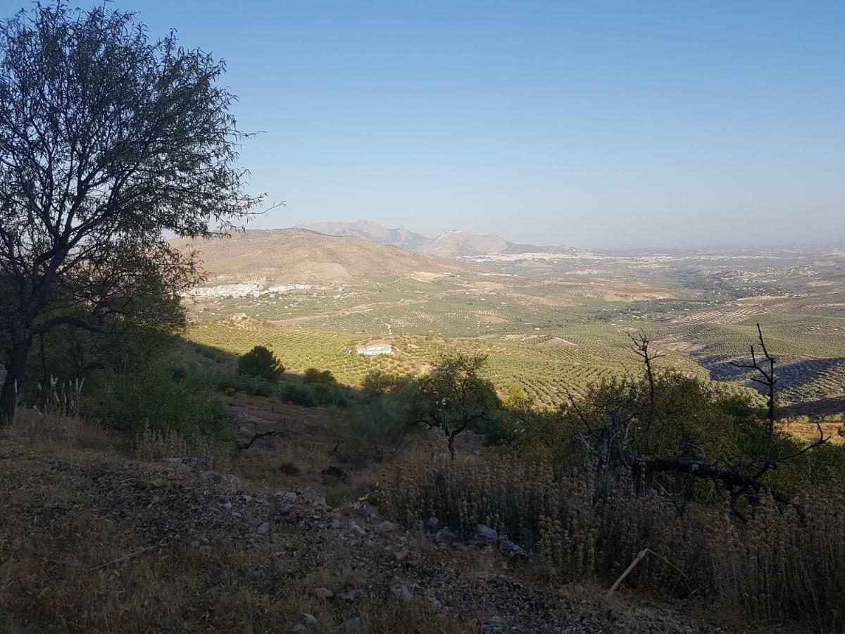 Apartamentos Rurales La Dehesa Del Acebuche Jaen Luaran gambar